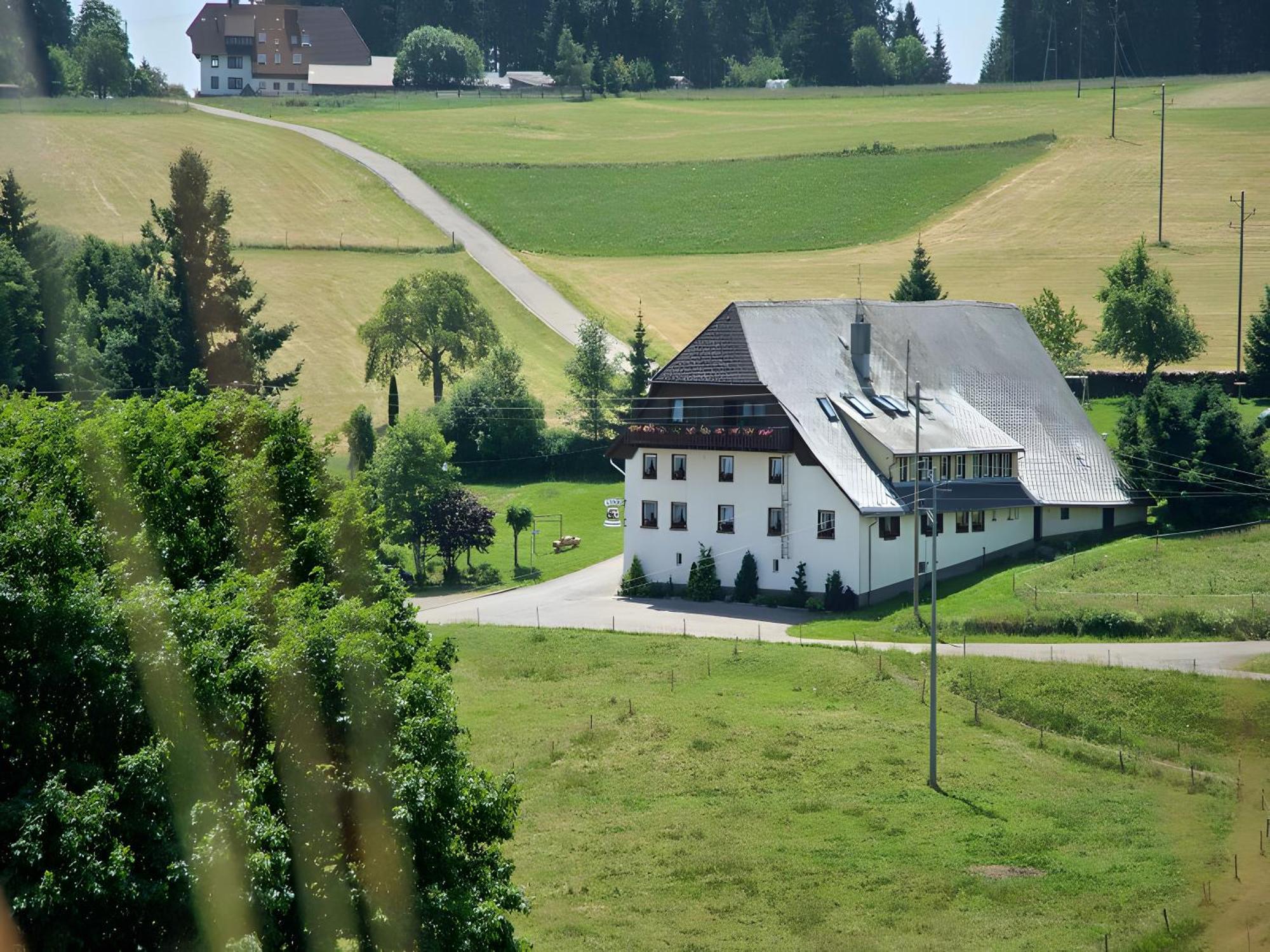 Gasthaus-Pension Zum Loewen Grafenhausen Esterno foto